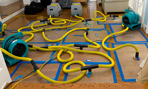 Professional Basement Flood Cleanup technician working in Nettleton, MS
